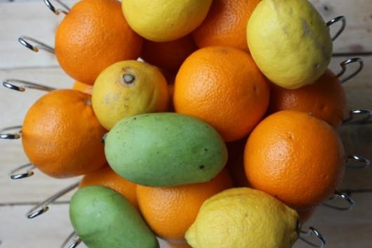 oranges, citrons, mangues sauvages