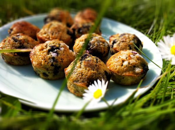 muffins aux myrtilles de Gwyneth Paltrow
