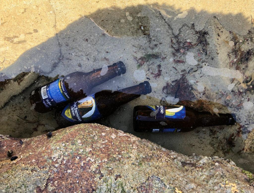 Rafraîchir des bières dans l'océan