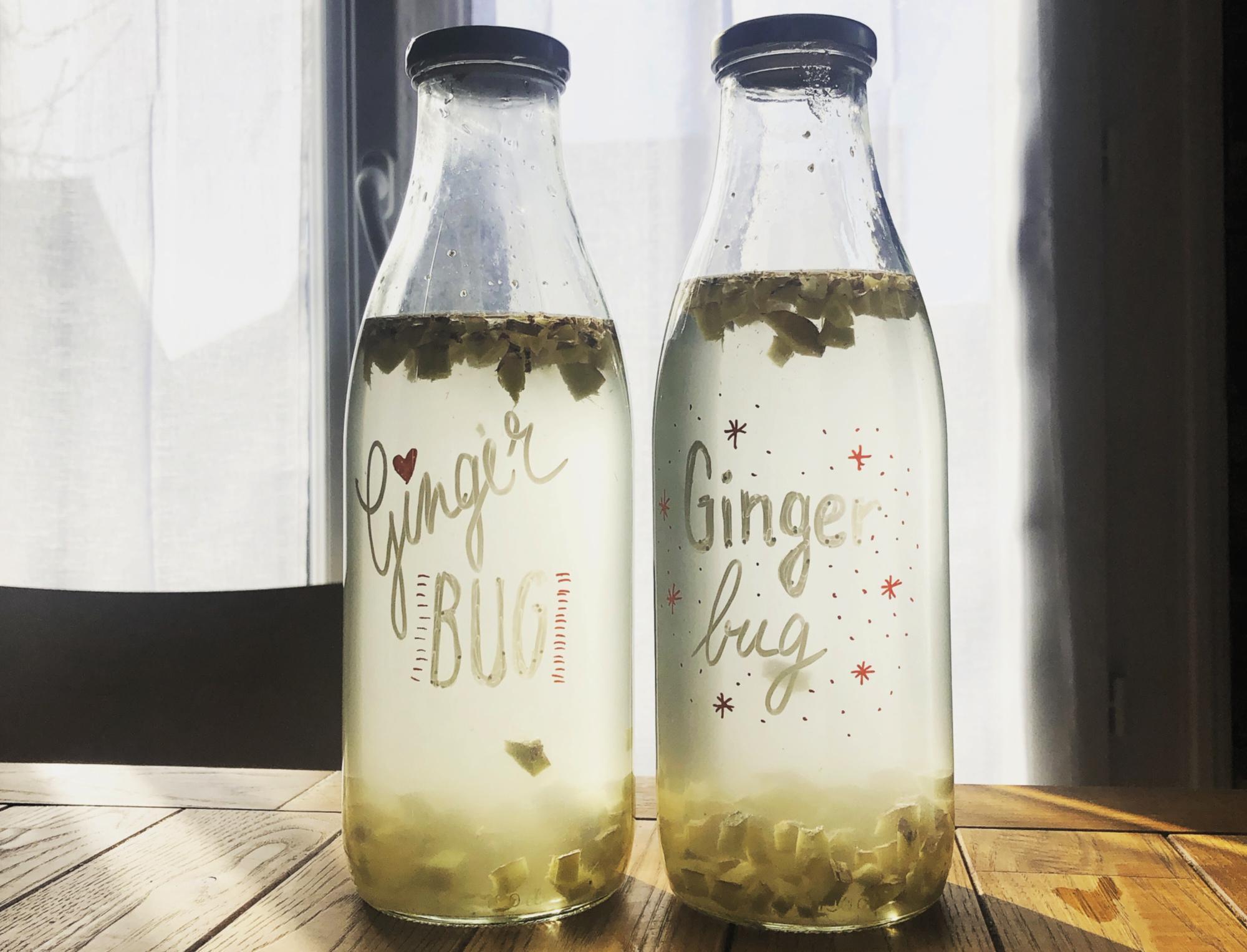 ginger_bug DansMaCuizine