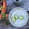 recette moscow mule