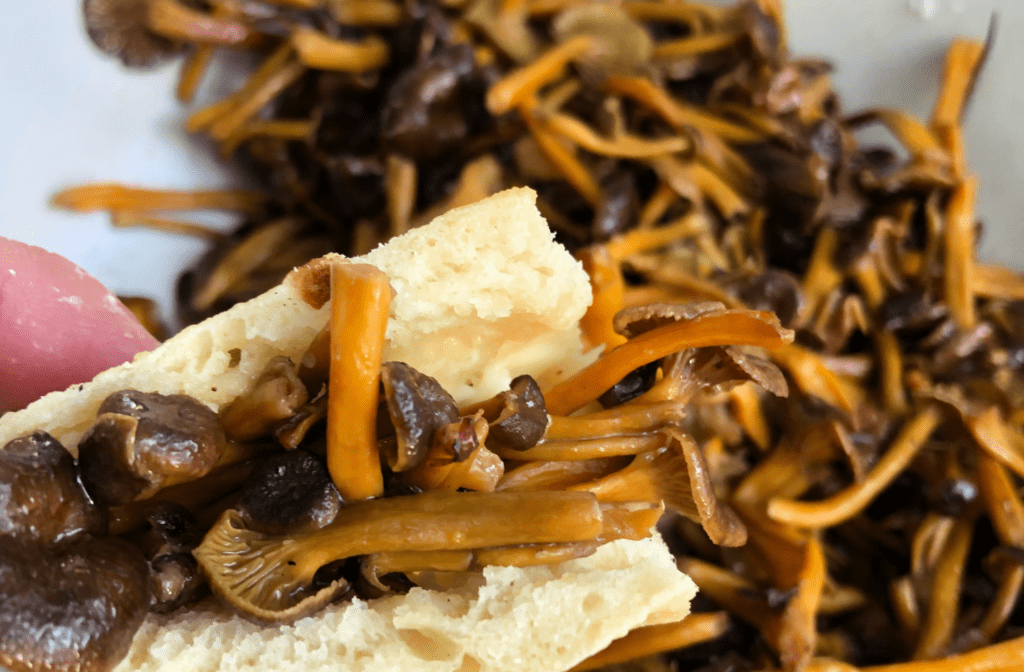 sandwich aux chanterelles