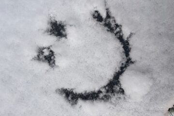 neige bretagne noel 2025