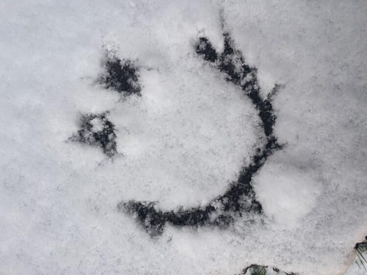 neige bretagne noel 2025